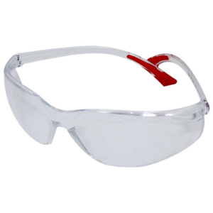 Safety Goggles Clear
