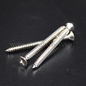 Self Tapping Screw, CSK, NP, #4, Taiwan