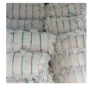 Cotton Waste A- Grade Big; Pakistan